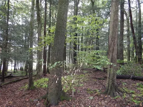 Flanders Hill, Windsor, NY 13865 photo 45