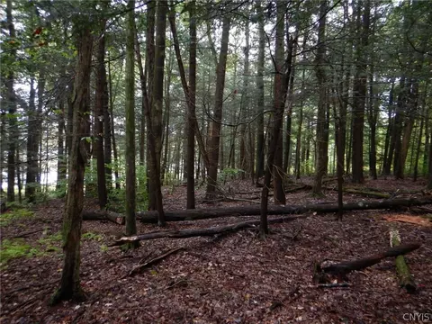 Flanders Hill, Windsor, NY 13865 photo 37