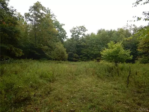 Flanders Hill, Windsor, NY 13865 photo 13