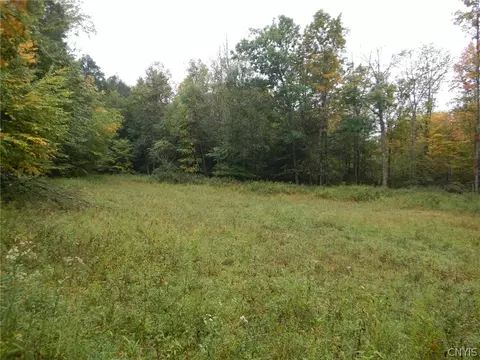 Flanders Hill, Windsor, NY 13865 photo 19