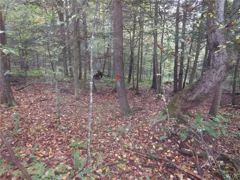 Flanders Hill, Windsor, NY 13865 photo 36