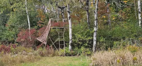 Exterior - Learn Road, Rathbone, NY 14820 photo 1 of 8
