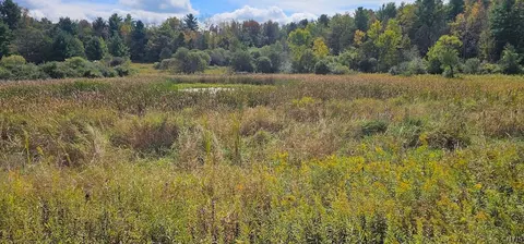 Other - Learn Road, Rathbone, NY 14820 photo 8 of 30