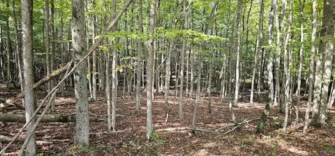 Exterior - Learn Road, Rathbone, NY 14820 photo 5 of 8