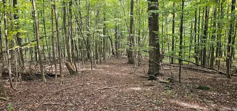 Other - Learn Road, Rathbone, NY 14820 photo 18 of 30