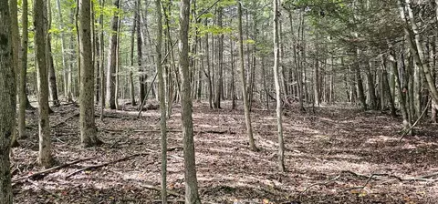 Exterior - Learn Road, Rathbone, NY 14820 photo 3 of 8