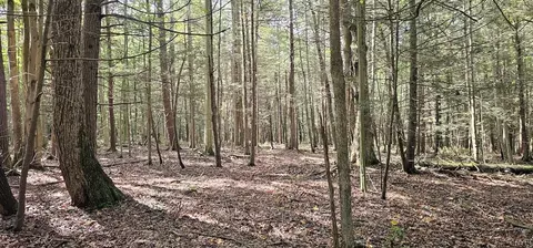 Exterior - Learn Road, Rathbone, NY 14820 photo 2 of 8