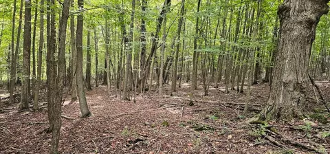 Other - Learn Road, Rathbone, NY 14820 photo 19 of 30
