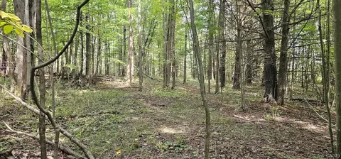 Other - Learn Road, Rathbone, NY 14820 photo 20 of 30