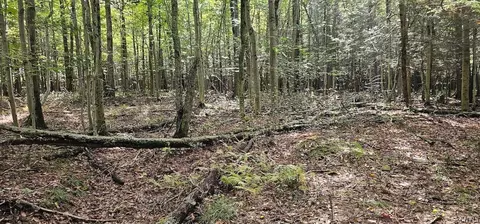 Other - Learn Road, Rathbone, NY 14820 photo 17 of 30