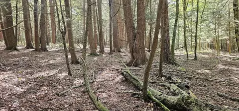 Exterior - Learn Road, Rathbone, NY 14820 photo 6 of 8