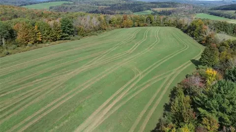 Other - Learn Road, Rathbone, NY 14820 photo 27 of 30