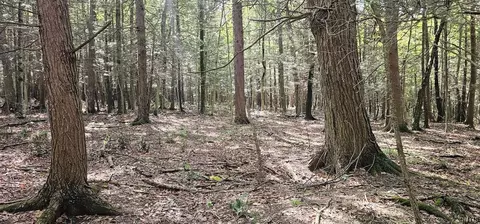 Other - Learn Road, Rathbone, NY 14820 photo 15 of 30