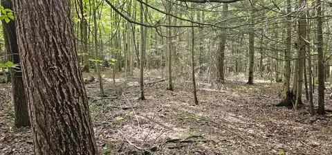 Other - Learn Road, Rathbone, NY 14820 photo 16 of 30