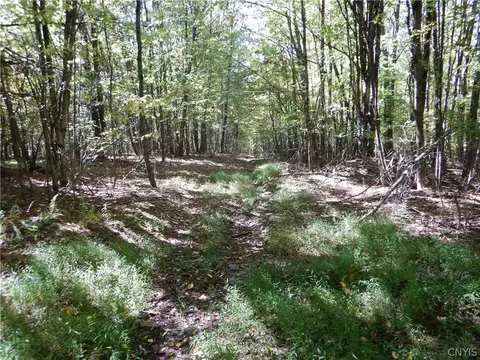 Phillips Road, Windsor, NY 13865 photo 11