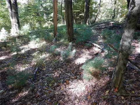 Phillips Road, Windsor, NY 13865 photo 16