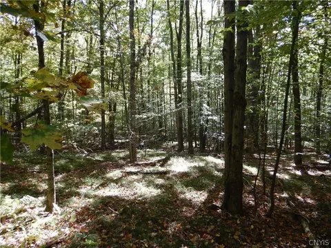 Phillips Road, Windsor, NY 13865 photo 35