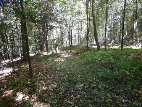 Phillips Road, Windsor, NY 13865 photo 27