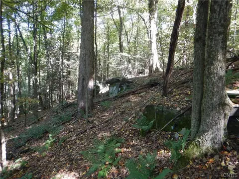Phillips Road, Windsor, NY 13865 photo 22