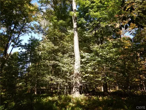 Phillips Road, Windsor, NY 13865 photo 31