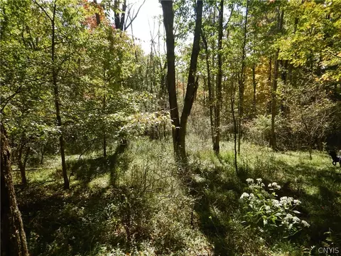 Phillips Road, Windsor, NY 13865 photo 38