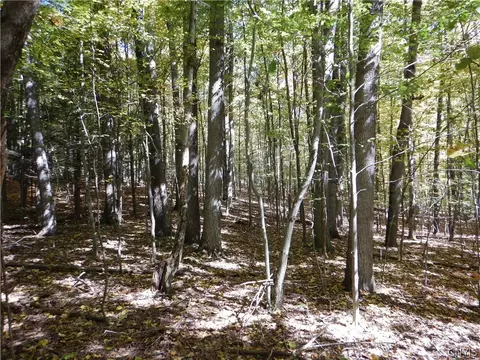 Phillips Road, Windsor, NY 13865 photo 40