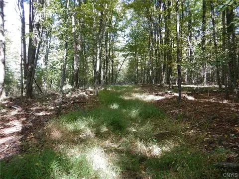 Phillips Road, Windsor, NY 13865 photo 15