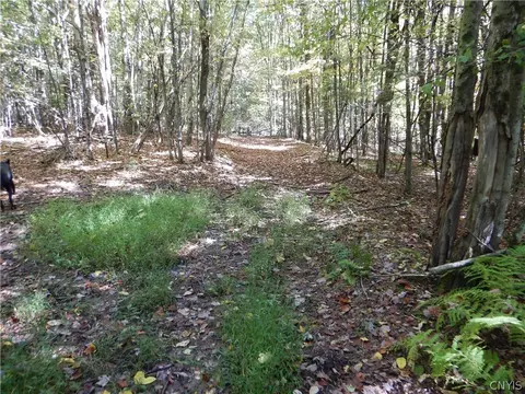 Phillips Road, Windsor, NY 13865 photo 13