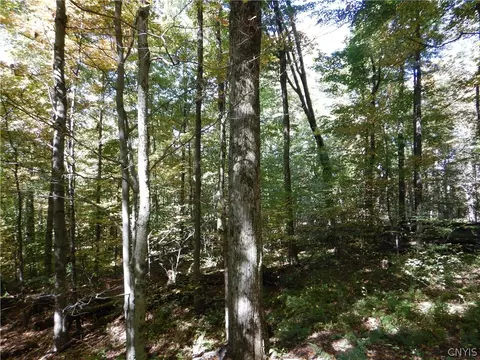 Phillips Road, Windsor, NY 13865 photo 30