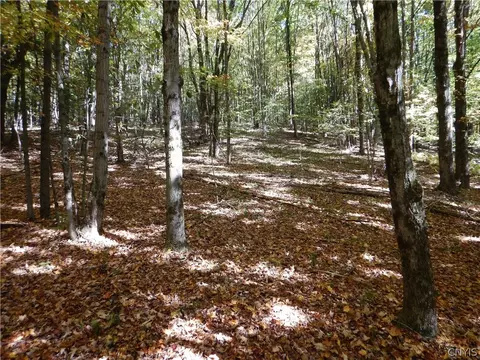 Phillips Road, Windsor, NY 13865 photo 8