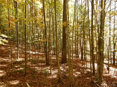 Phillips Road, Windsor, NY 13865 photo 6