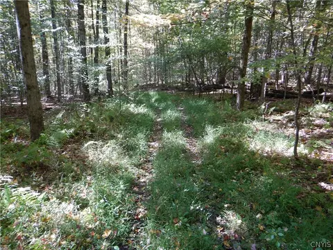 Phillips Road, Windsor, NY 13865 photo 34