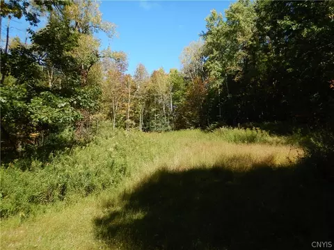 Phillips Road, Windsor, NY 13865 photo 2