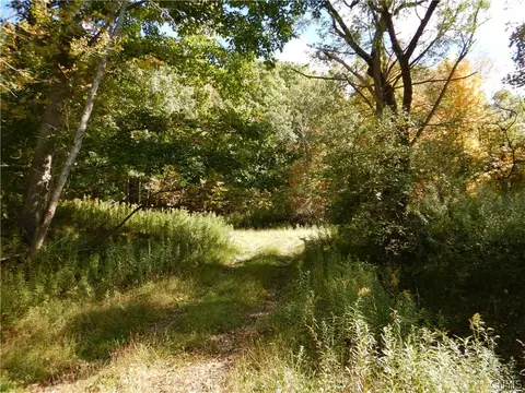 Phillips Road, Windsor, NY 13865 photo 43