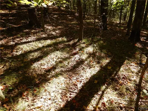 Phillips Road, Windsor, NY 13865 photo 9