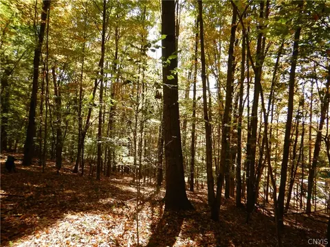 Phillips Road, Windsor, NY 13865 photo 7