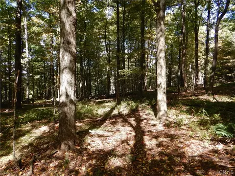 Phillips Road, Windsor, NY 13865 photo 19