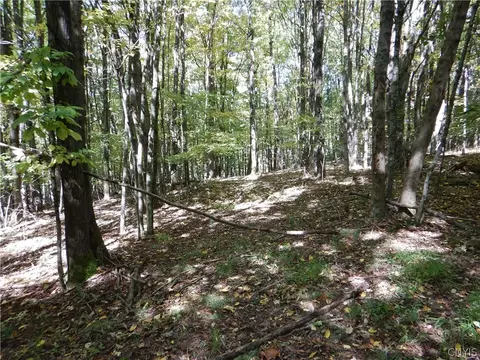 Phillips Road, Windsor, NY 13865 photo 12