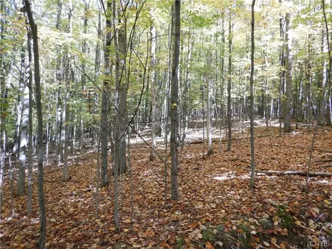 Phillips Road, Windsor, NY 13865 photo 5