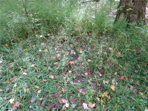 Phillips Road, Windsor, NY 13865 photo 33