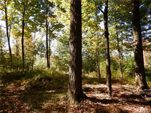 Phillips Road, Windsor, NY 13865 photo 20