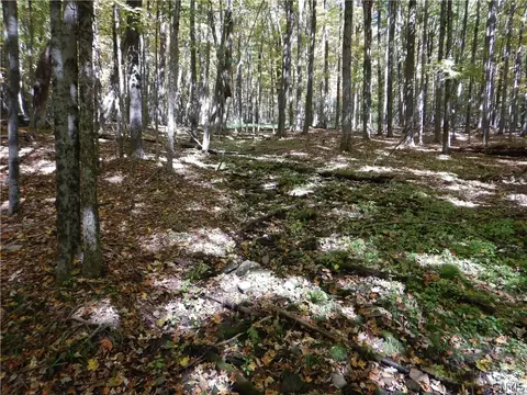 Phillips Road, Windsor, NY 13865 photo 37