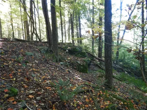 Phillips Road, Windsor, NY 13865 photo 23