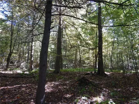 Phillips Road, Windsor, NY 13865 photo 26