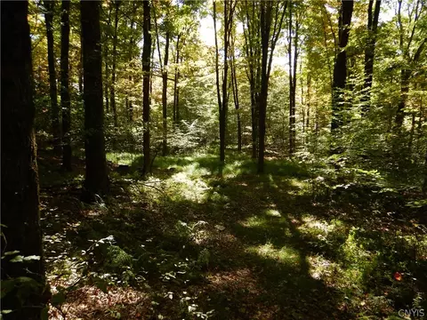 Phillips Road, Windsor, NY 13865 photo 28