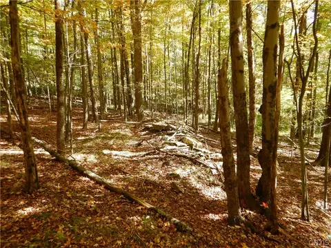 Phillips Road, Windsor, NY 13865 photo 39