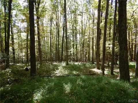 Phillips Road, Windsor, NY 13865 photo 36