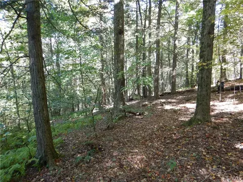 Phillips Road, Windsor, NY 13865 photo 25