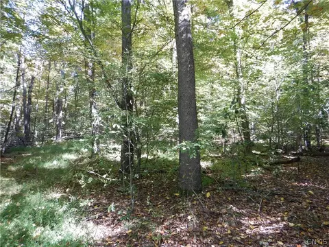 Phillips Road, Windsor, NY 13865 photo 18