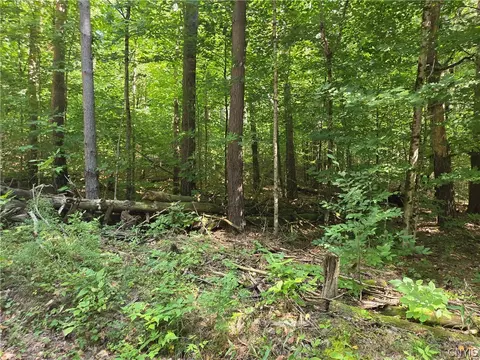 lot1 George Hill Rd, Watson, NY 13343